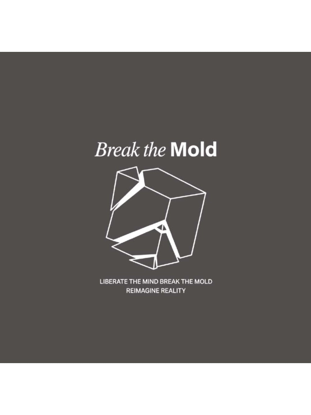 Break The Mold Printed Round Neck Oversize Pre-customized Tshirt for Men