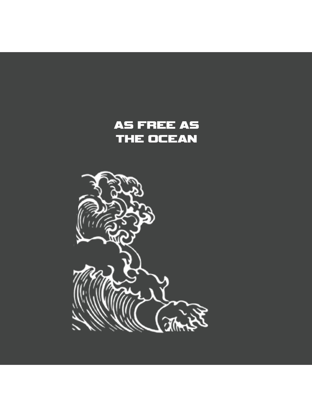 Ocean Freedom Printed Round Neck Oversize Pre-customized Tshirt for Men