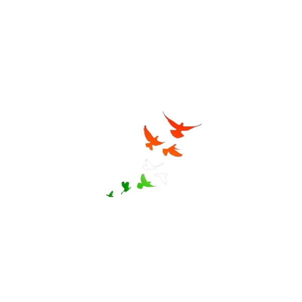 Tiranga Spirit